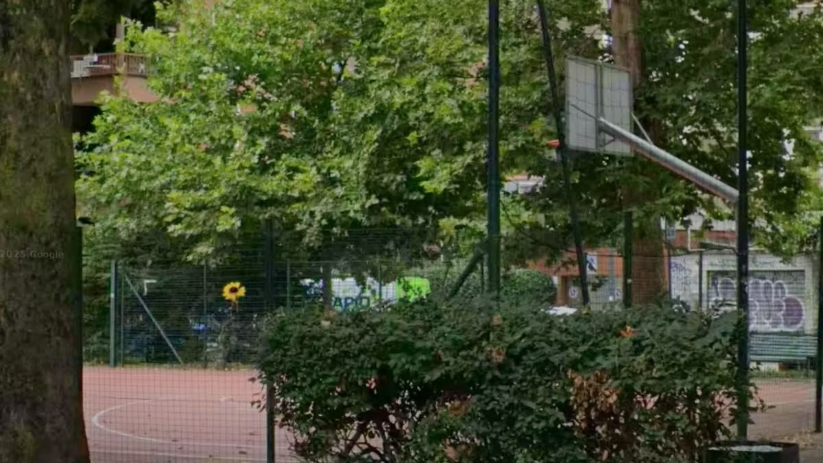 Una mano strappa il girasole in ricordo di un ragazzo: “Se ne mettessero tutti, Milano sarebbe una pattumiera”