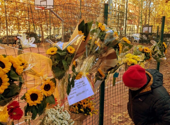 girasoli campetto milano