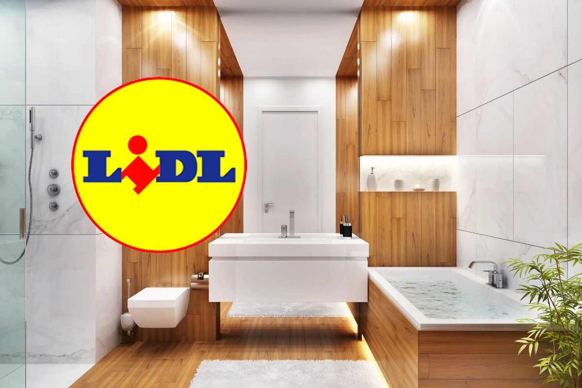 Promozione d’autunno Lidl, il tuo bagno da sogno a meno di 30 euro: impossibile resistere