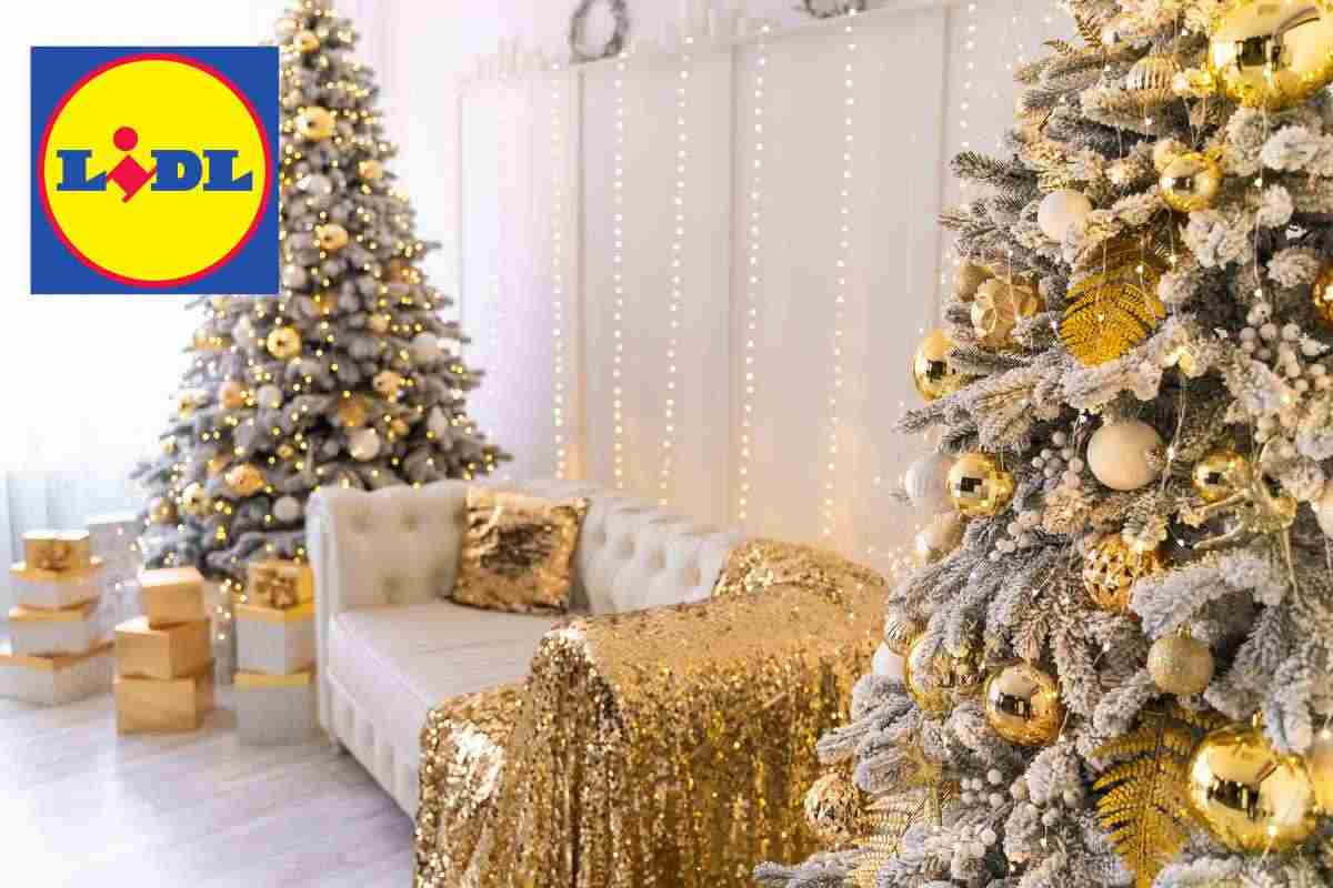 Con lidl la tua casa diventa super natalizia spendendo pochissimo, i dettagli