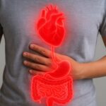 legame tra microbiota intestinale e salute del cuore