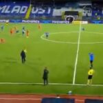 morto allenatore Zizovic