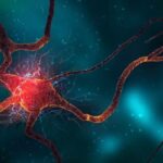 neurone rappresentazione artistica