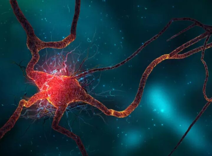 neurone rappresentazione artistica