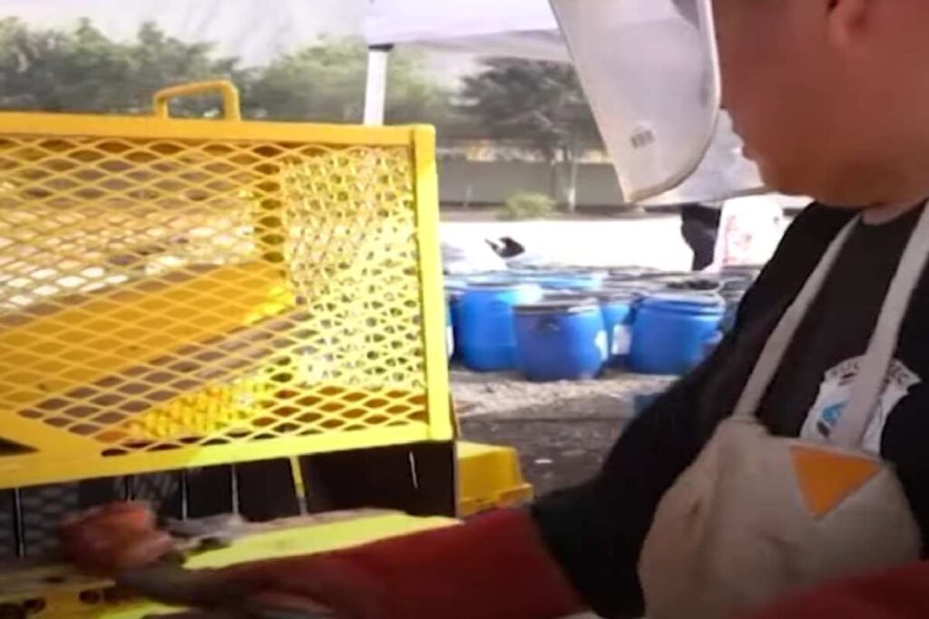 Distrutte oltre 8mila armi in Perù