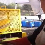 Distrutte oltre 8mila armi in Perù