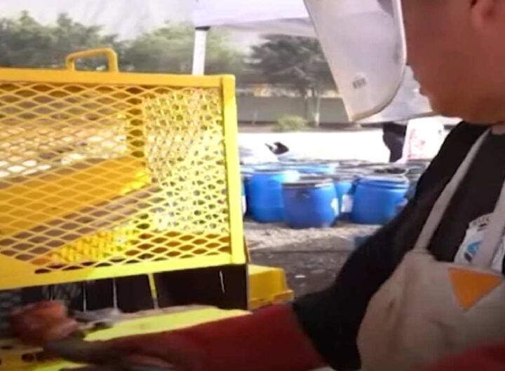 Distrutte oltre 8mila armi in Perù