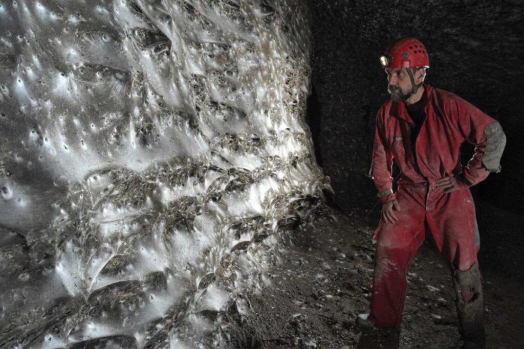 ragnatela più grande al mondo