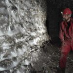 ragnatela più grande al mondo