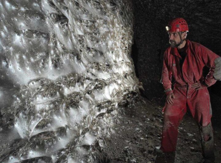 ragnatela più grande al mondo