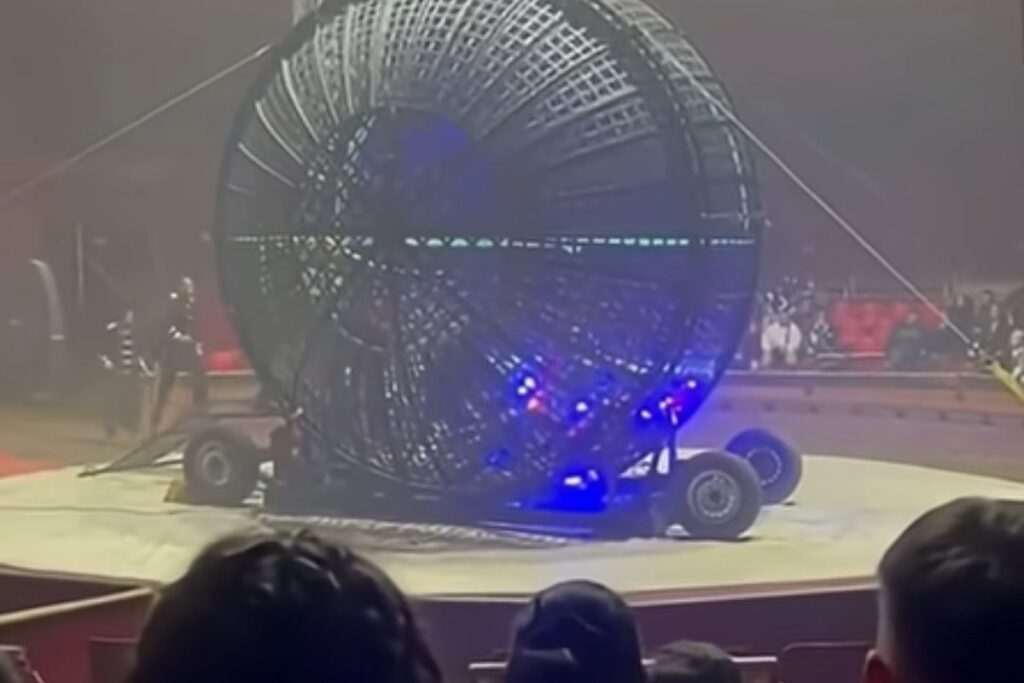 stuntman morto circo napoli