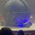 stuntman morto circo napoli