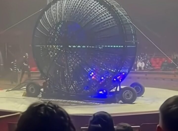 stuntman morto circo napoli