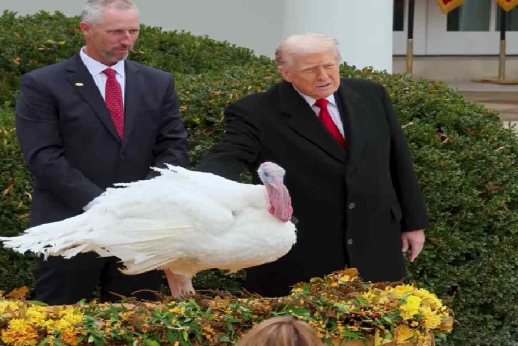 La salute di Trump allarma gli americani: ecco i sintomi del declino fisico e mentale , nella fotoTrump e la grazia ai tacchini per il giorno del Ringraziamento