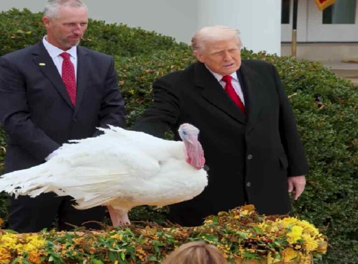 La salute di Trump allarma gli americani: ecco i sintomi del declino fisico e mentale , nella fotoTrump e la grazia ai tacchini per il giorno del Ringraziamento