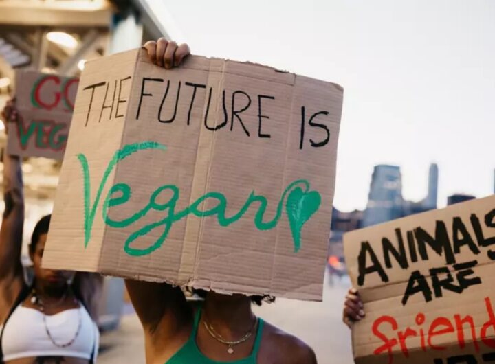 world vegan day