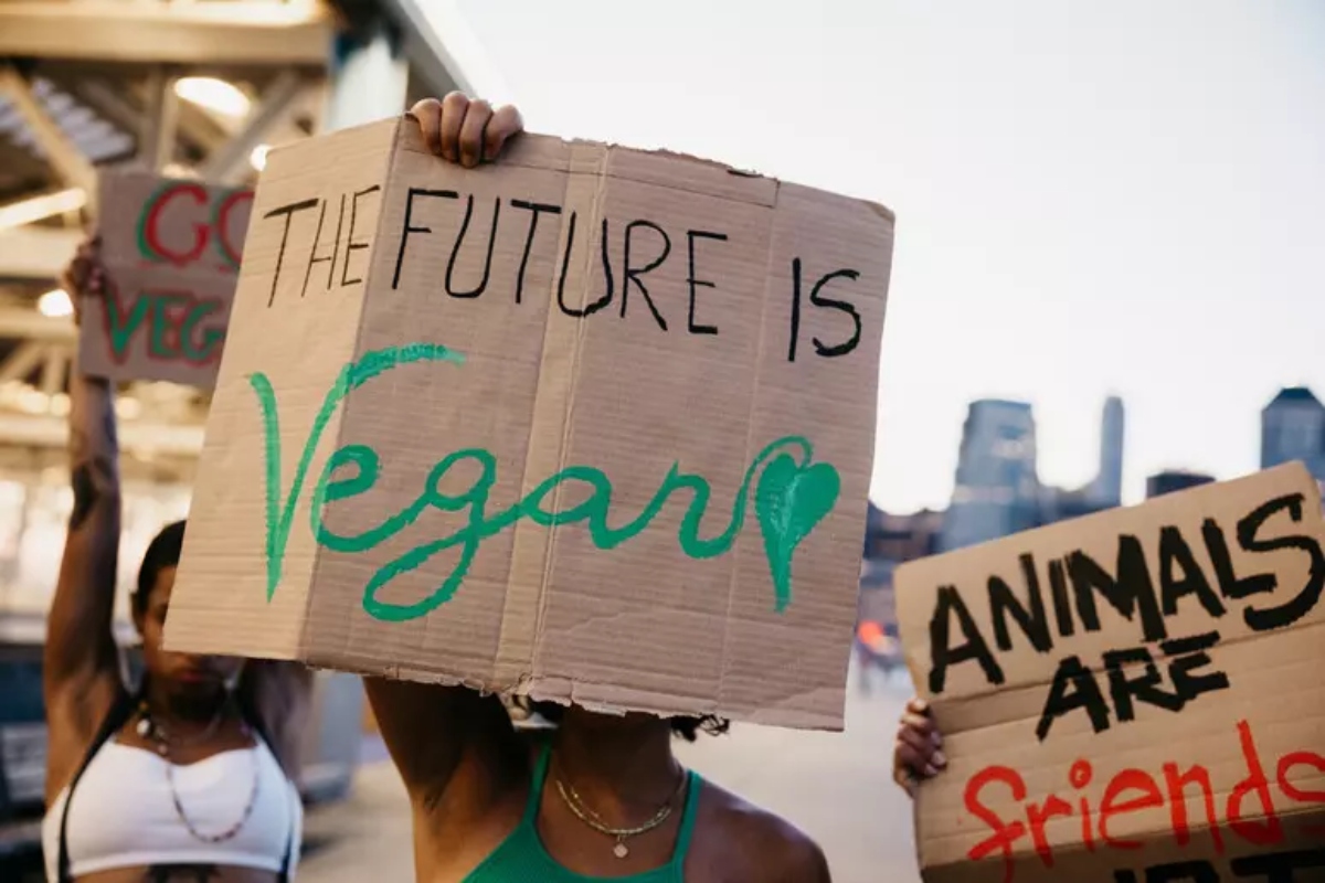 World Vegan Day. In Italia diminuisce il numero sia di vegetariani che di vegani. Insieme non arrivano al 10%