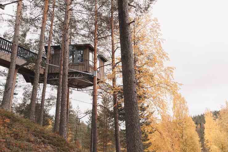 Albergo stranissimo Svezia