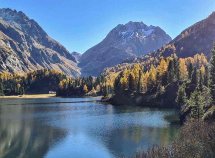 Situato nel cantone dei Grigioni, nel comune di Bregaglia, questo lago alpino è una meta prediletta sia per le passeggiate estive in famiglia