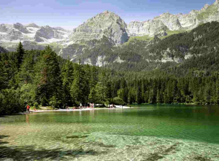Situato nella Val di Non al confine del Parco naturale Adamello-Brenta, questo specchio d’acqua alpino di origine glaciale, a 1.178 metri