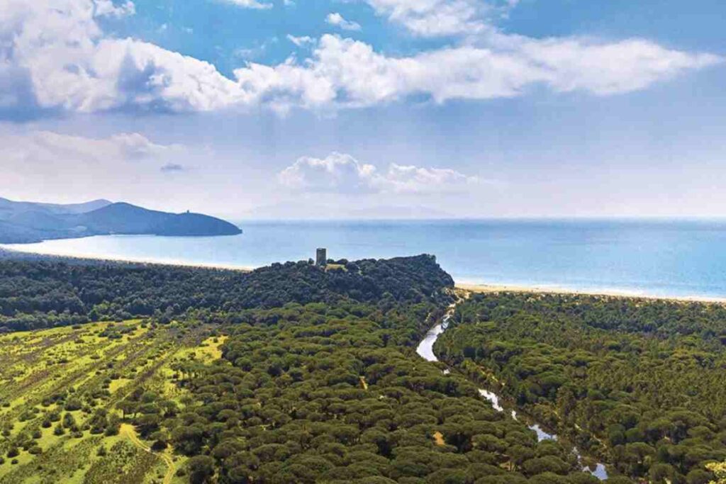 Questa zona, parte integrante della vasta e affascinante regione della Maremma, offre un connubio perfetto tra arte