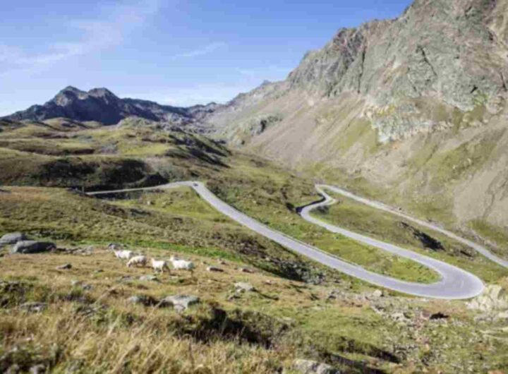 A 1.518 metri di altitudine, questo valico alpino, noto anche come Gampenpass in tedesco, offre un equilibrio perfetto tra curve tecniche,