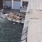 ruba barca a venezia