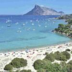 L’origine del titolo di regno più piccolo del mondo affonda le radici nella prima metà del XIX secolo, quando Giuseppe Bertoleoni,