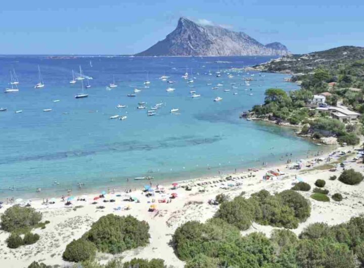 L’origine del titolo di regno più piccolo del mondo affonda le radici nella prima metà del XIX secolo, quando Giuseppe Bertoleoni,