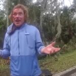 incidente in macchina per colpa degli alieni