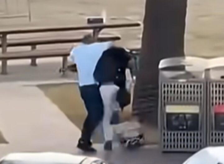 disarma attentatore australia