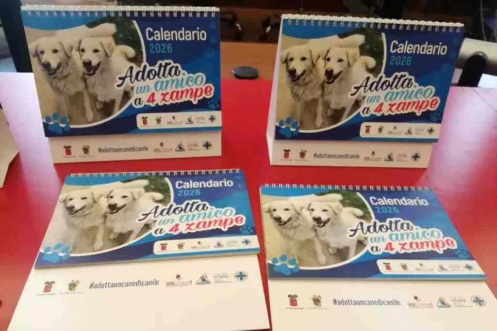 Un calendario del 2026