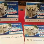 Un calendario del 2026