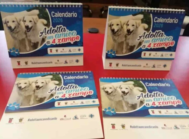 Un calendario del 2026