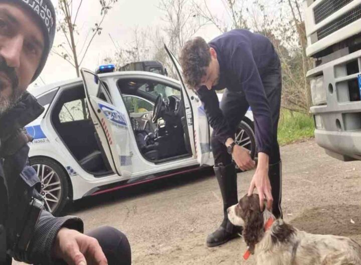 cane salvato polizia