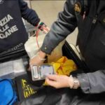 Carte Pokemon in valigia