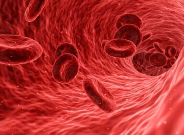 colesterolo nel sangue