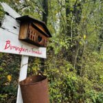 La famiglia nel bosco