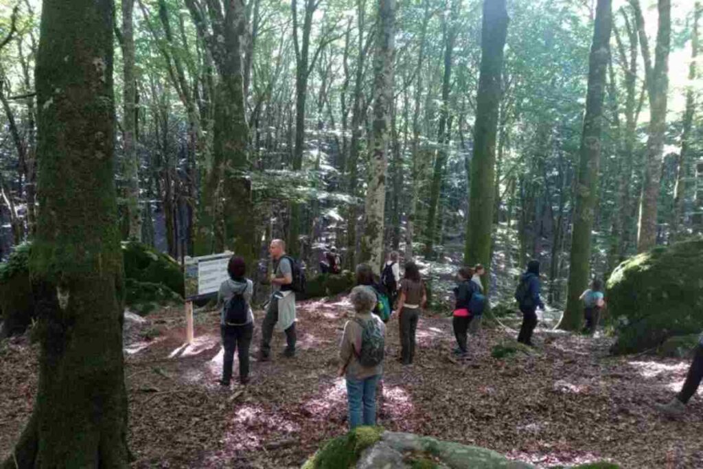 Un momento di svolgimento di terapia forestale