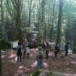 Un momento di svolgimento di terapia forestale