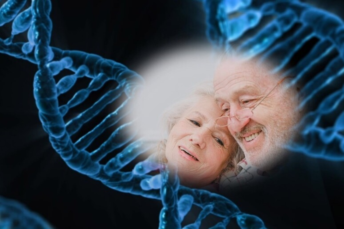 invecchiamento cellulare