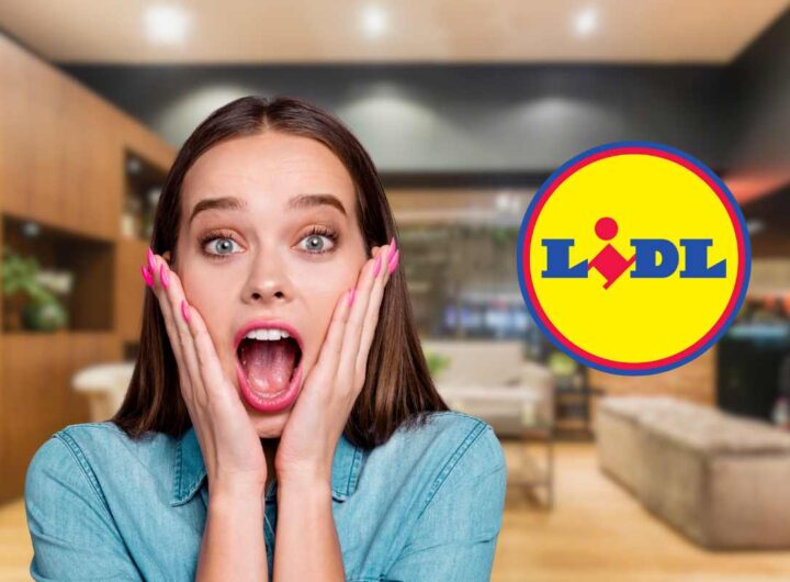 logo lidl donna sorpresa soggiorno