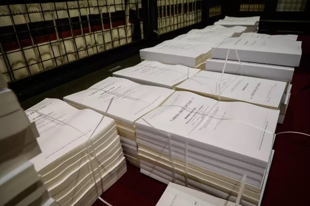 Faldoni della manovra