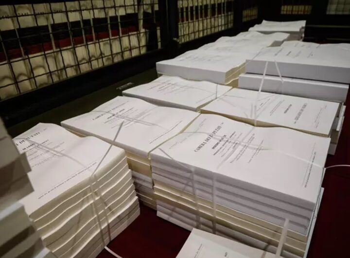 Faldoni della manovra