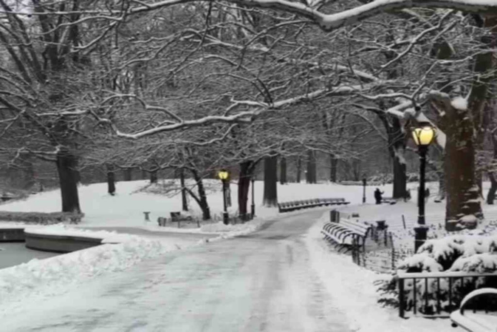 Central Park innevato