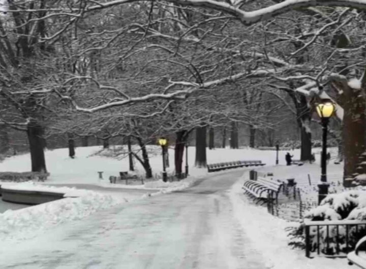 Central Park innevato