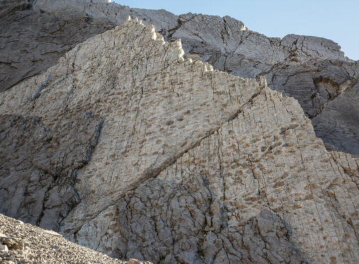 orme di dinosauri nel parco dello stelvio