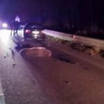 L'orso travolto in Abruzzo