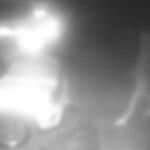 Incendia due auto della polizia municipale