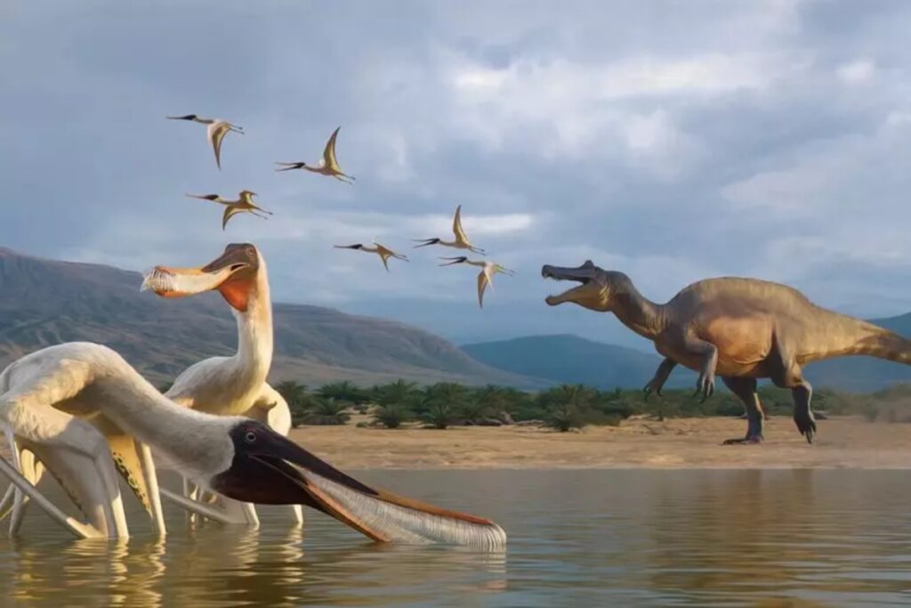 pterosauro becco a pettine